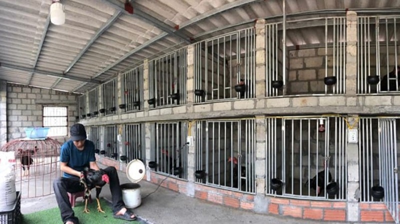 Lựa chọn làm chuồng gà ở nơi khô ráo, thoáng gió, tránh sinh sôi mầm bệnh xấu