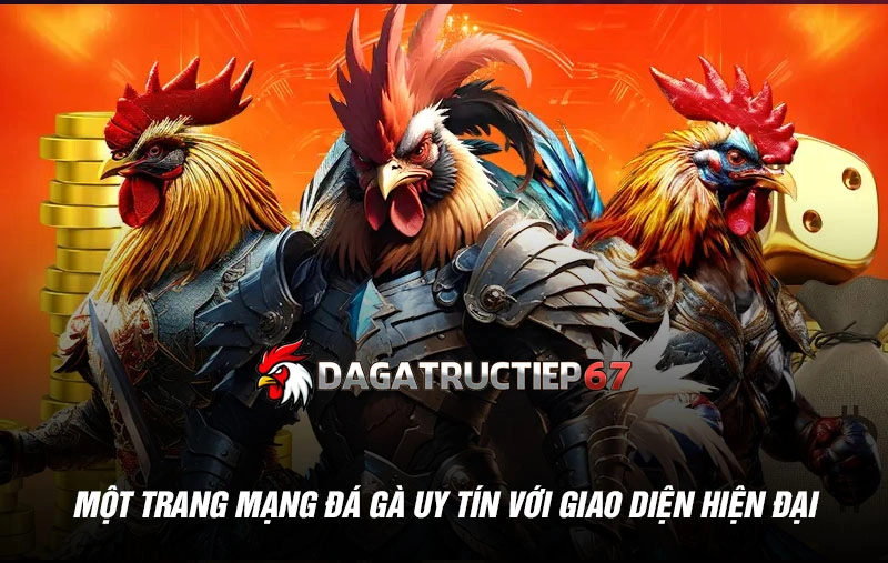 Một trang mạng đá gà uy tín với giao diện hiện đại